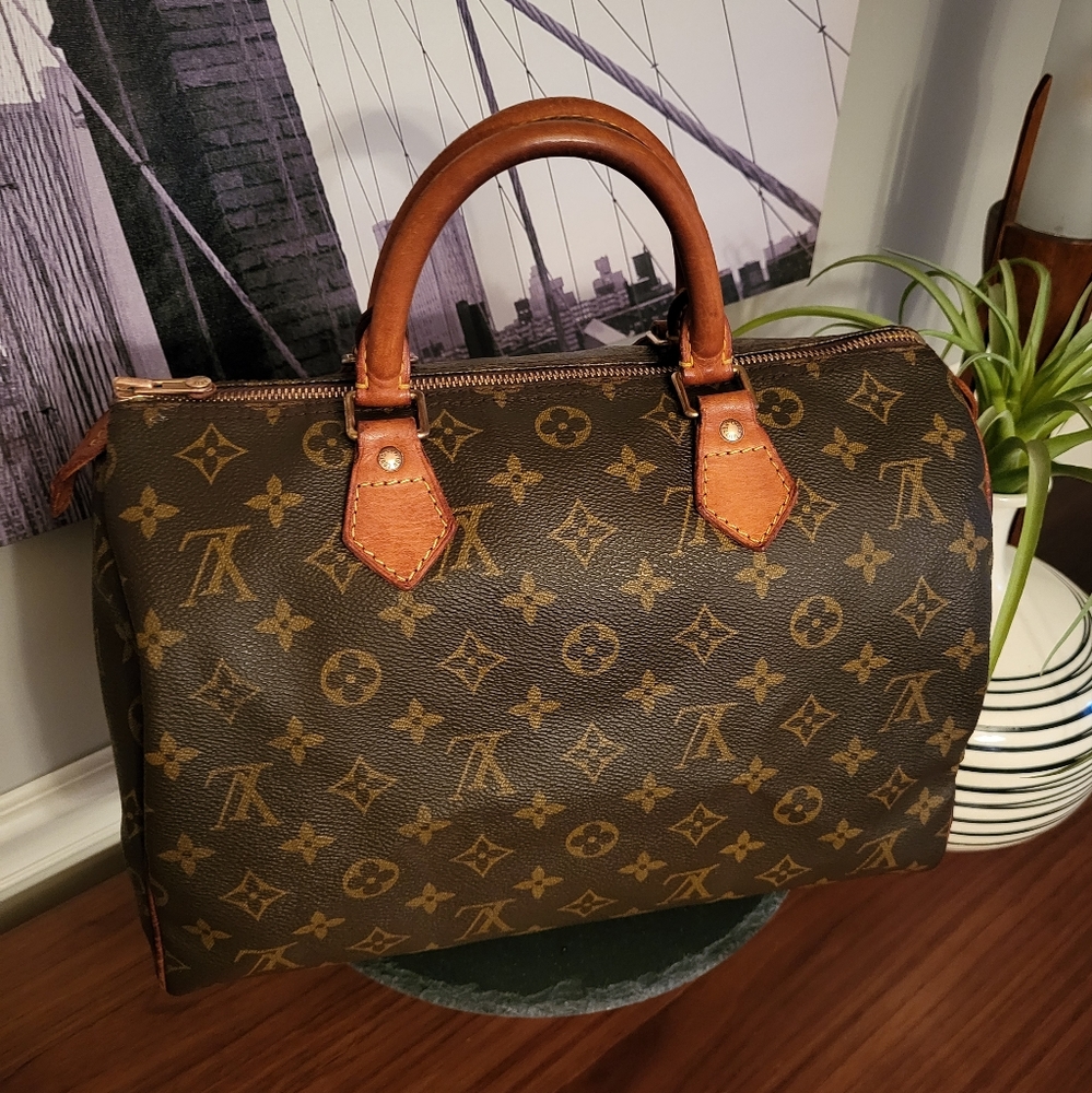 Louis Vuitton Monogram Speedy 30 Bag
